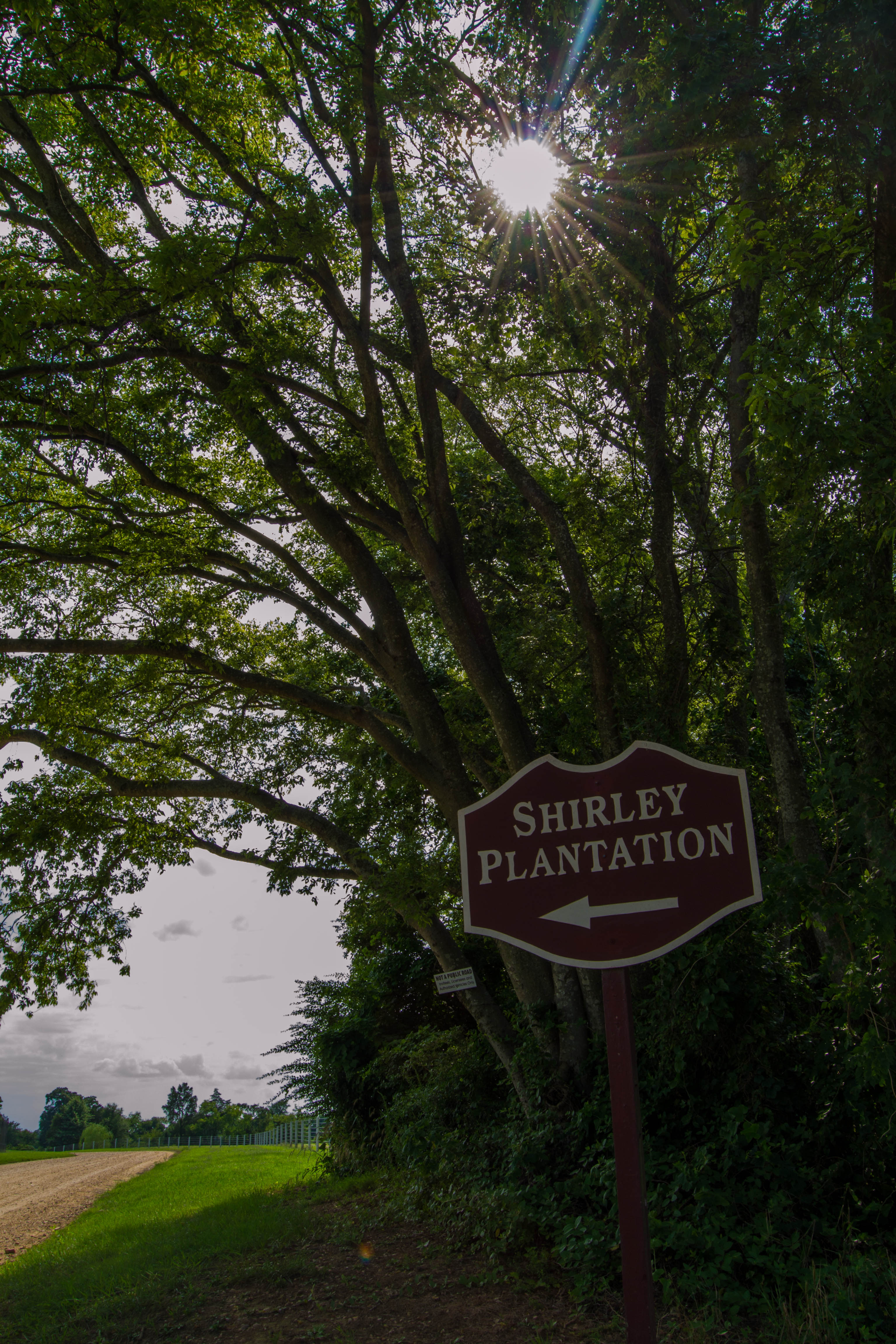 visit shirley plantation
